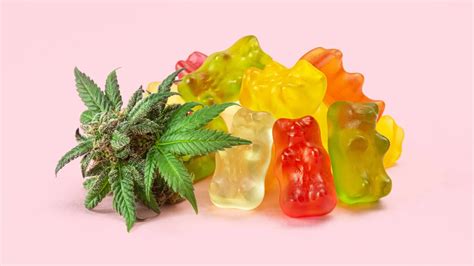 Can I Travel with THC Gummies? Exploring the Highs and Lows of Cannabis-Infused Journeys