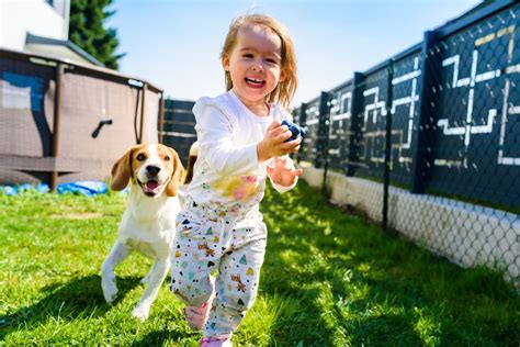 Can You Get an Emotional Support Animal for ADHD? And Why Not Teach a Goldfish to Fetch?