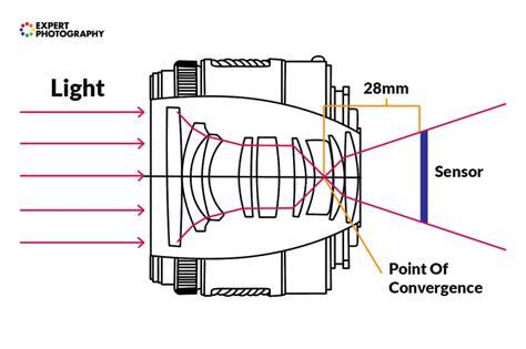 Do You Need a License for Photography? And Why Do Cameras Have More Buttons Than a Spaceship?