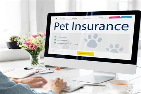 Does Pet Insurance Cover Spaying: A Journey Through the Whiskers of Financial Feline Care