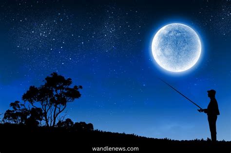 Does the Moon Affect Fishing? And Why Do Fish Prefer Jazz Over Rock?