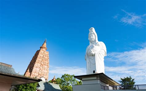 博多 久留米 新幹線：時空を超える味覚の旅