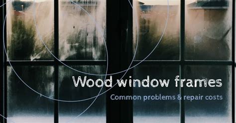 How Much Does It Cost to Repair Wood Rot Around Windows? And Why Do Squirrels Love to Watch?