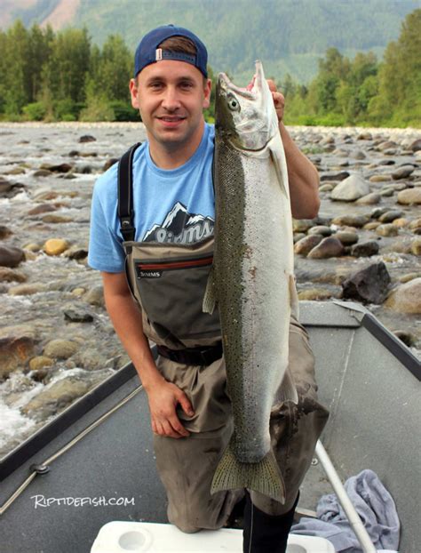 Is the Skykomish River Open for Fishing: A Journey Through Time and Tide