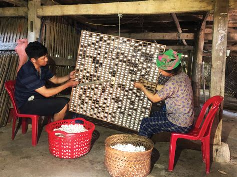  Khánh Xuân- Temppeliin Perustajien Kiista ja Vietnamin Historiaan Merkittyjen Uudistusten Nousu