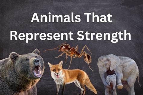 What Animal Represents Strength: A Journey Through Symbolism and Myth