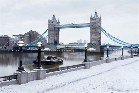 What is the weather like in London in December, and why do penguins prefer it over tropical beaches?